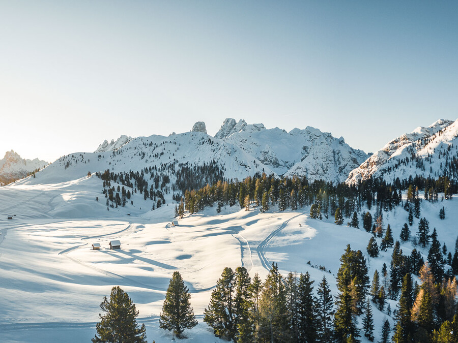 Verschneite Berge mit Kiefern, kleine Hütten und ein strahlend blauer Himmel an einem strahlenden Wintertag. - Hotel Steinerhof