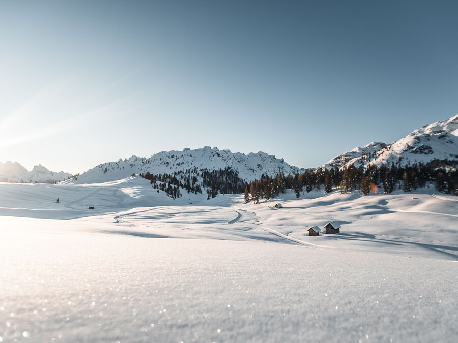 Ein schneebedecktes Feld mit vereinzelten Hütten, Bäumen und Bergen unter einem strahlend blauen Himmel. - Hotel Steinerhof