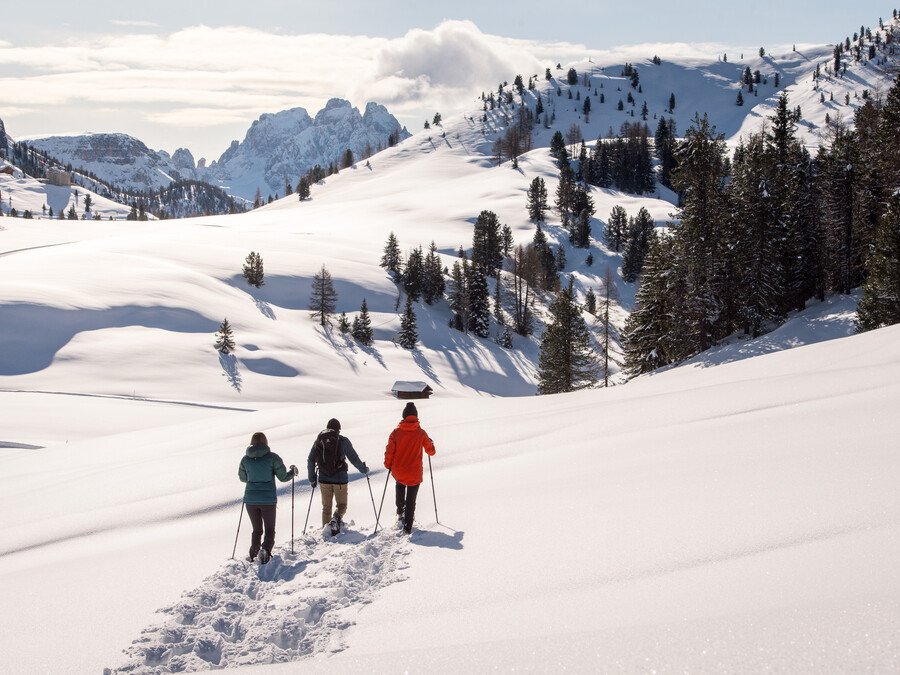 Drei Menschen wandern mit Schneeschuhen durch den tiefen Schnee in einer sonnigen, bergigen und mit Kiefern bewachsenen Winterlandschaft. - Hotel Steinerhof