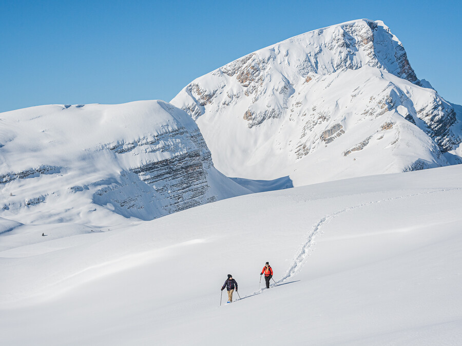 Zwei Menschen wandern unter einem strahlend blauen Himmel durch tiefen Schnee in Richtung der schneebedeckten Berge. - Hotel Steinerhof