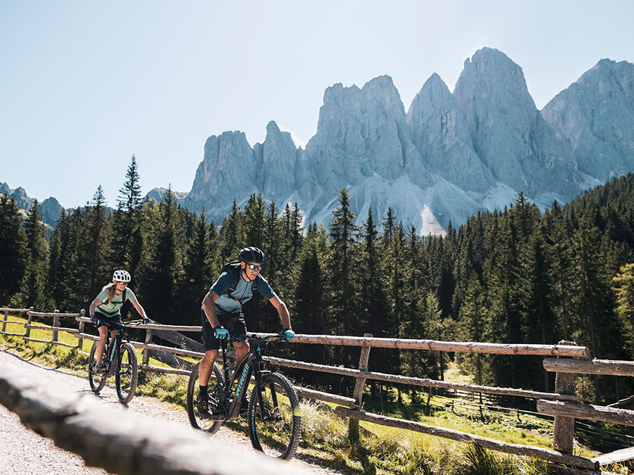 Zwei Personen fahren mit Mountainbikes auf einem Feldweg, im Hintergrund sind Kiefern und hohe Berge zu sehen. - Hotel Steinerhof
