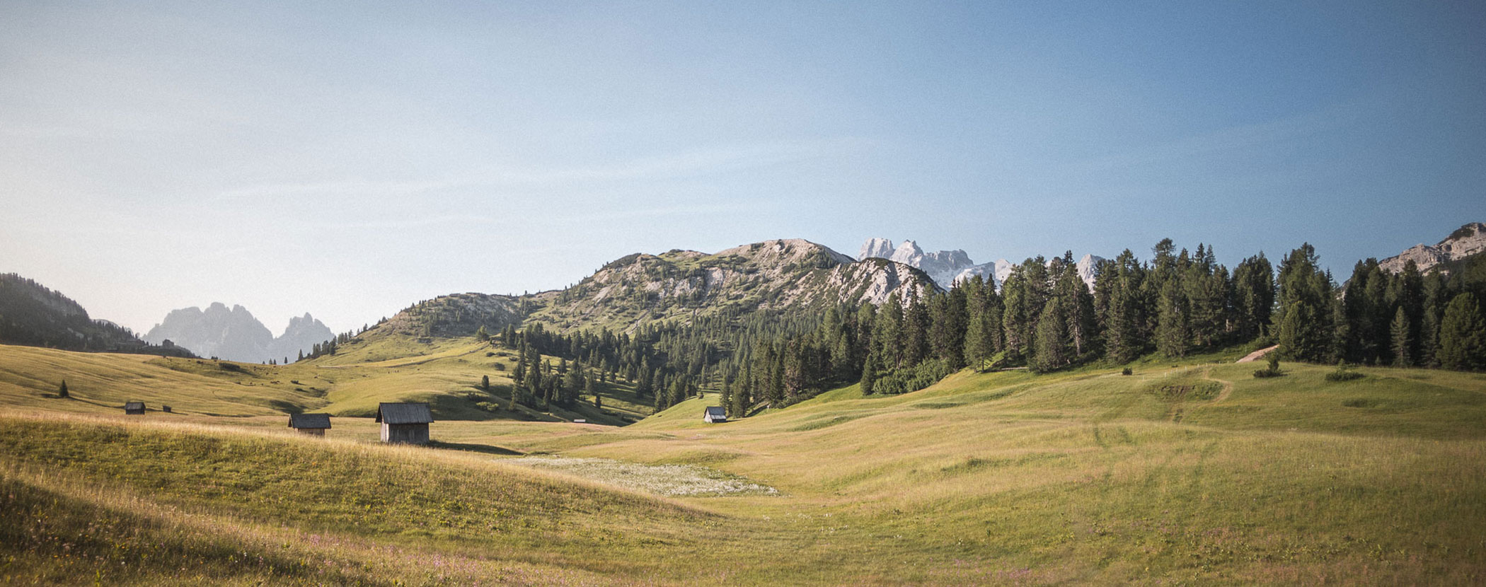 Eine sonnige Wiese mit vereinzelten Hütten, Kiefern und fernen Bergen unter einem strahlend blauen Himmel. - Hotel Steinerhof